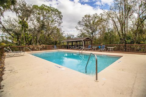 A home in PLANT CITY