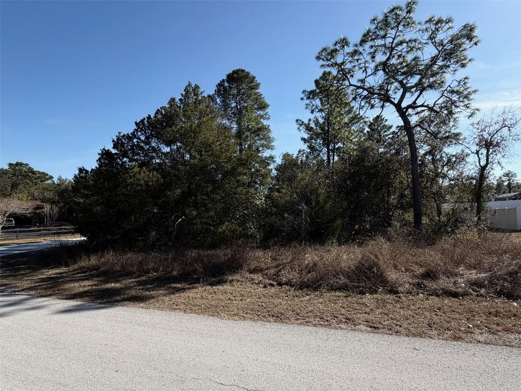 Photo of 0 Gyrafalcon Avenue, Weeki Wachee, FL 34613 (MLS # W7882600)