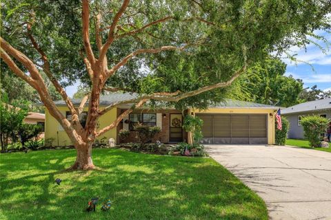 A home in EUSTIS