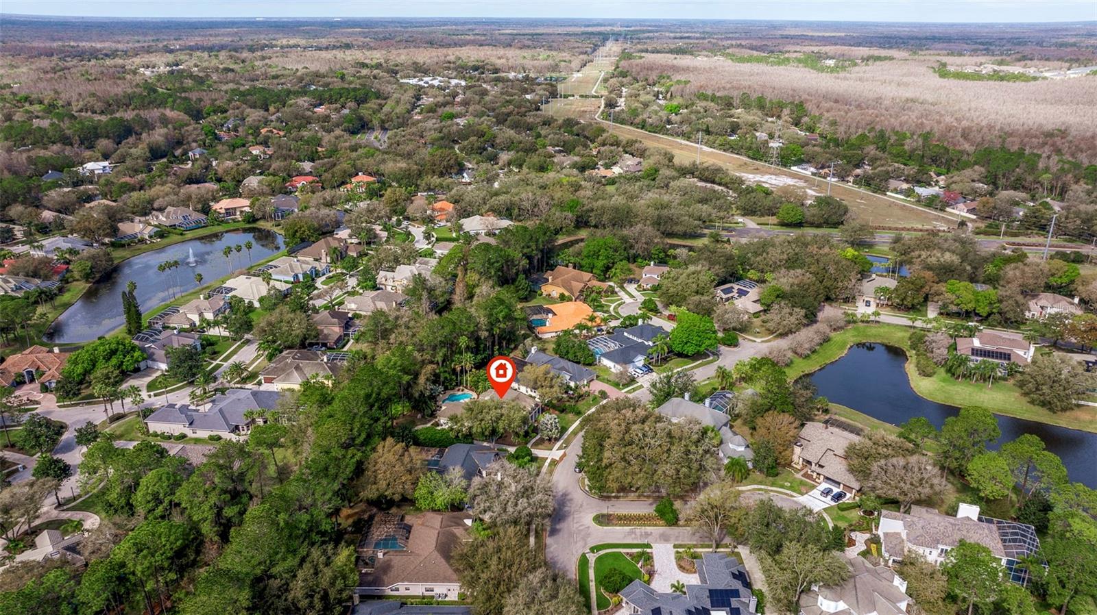 TAMPA PALMS - Residential