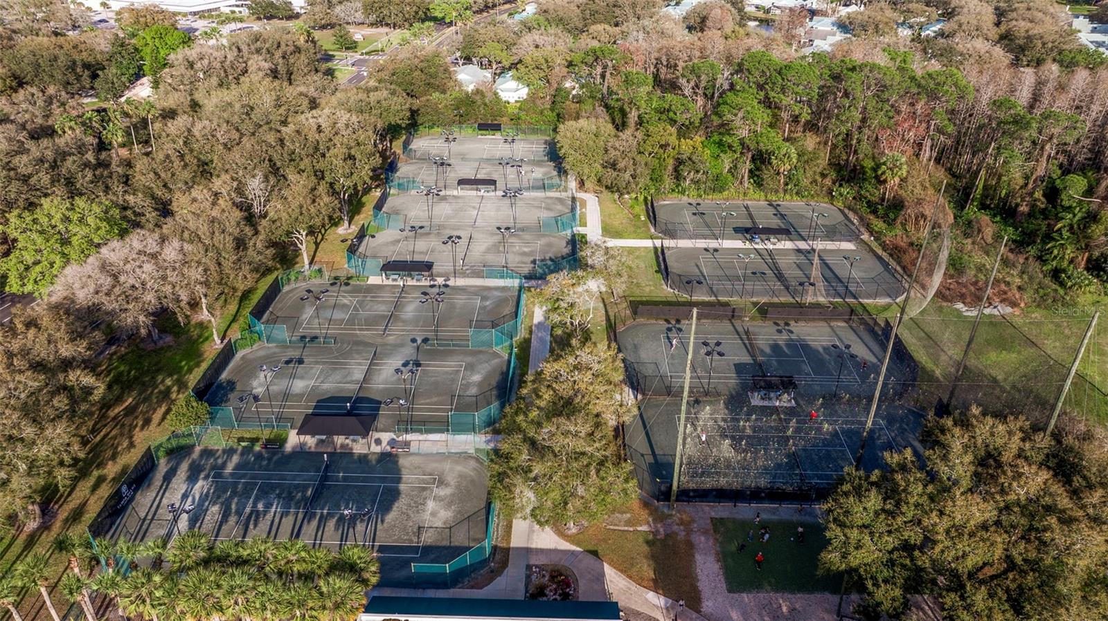 TAMPA PALMS - Residential