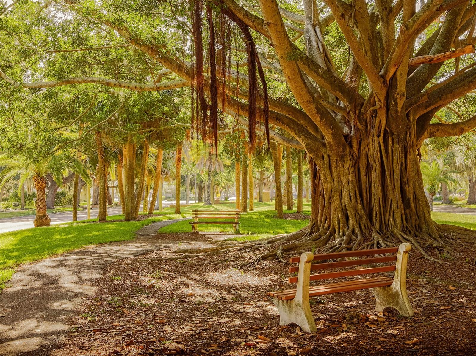 SAWGRASS - Residential