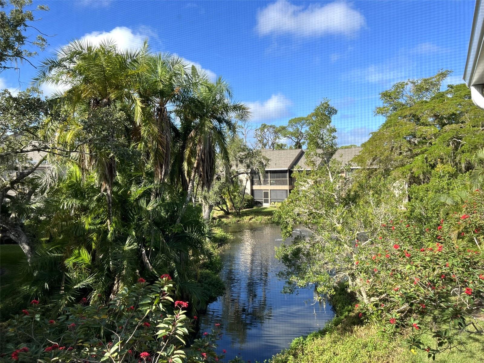 PELICAN COVE XVI - Residential