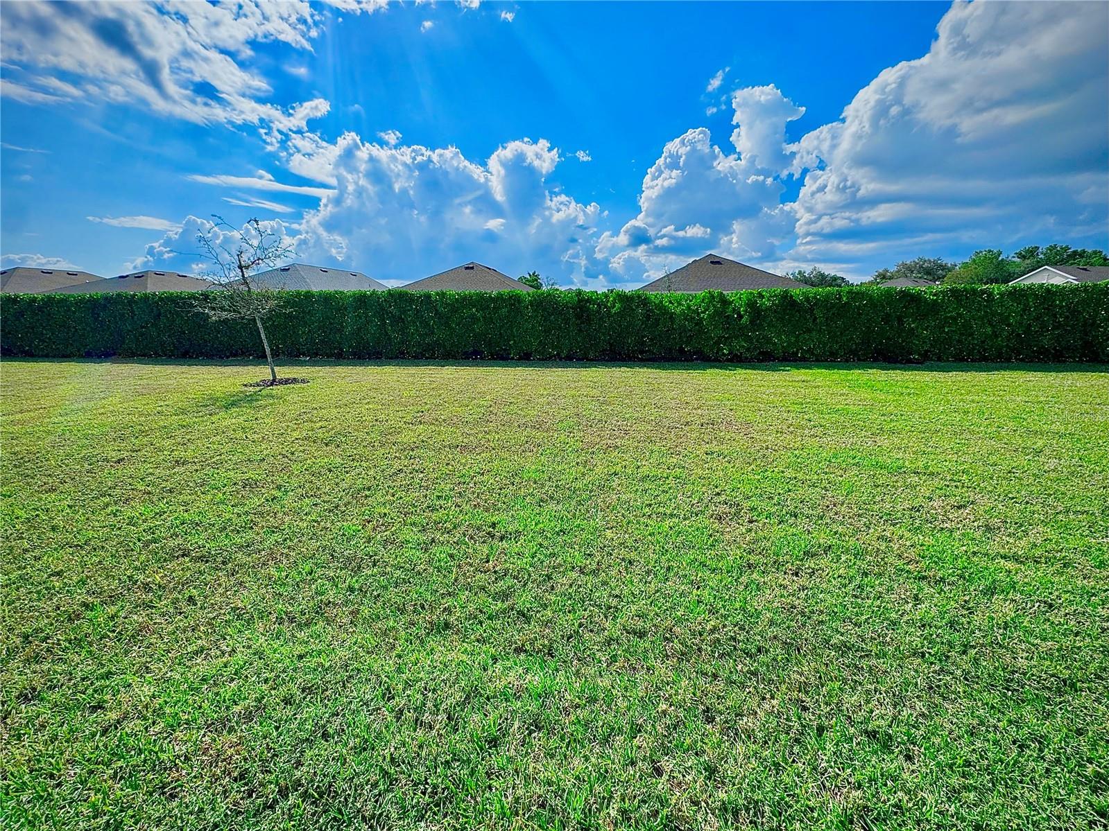 RIVER CLUB - Residential