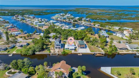 A home in HERNANDO BEACH