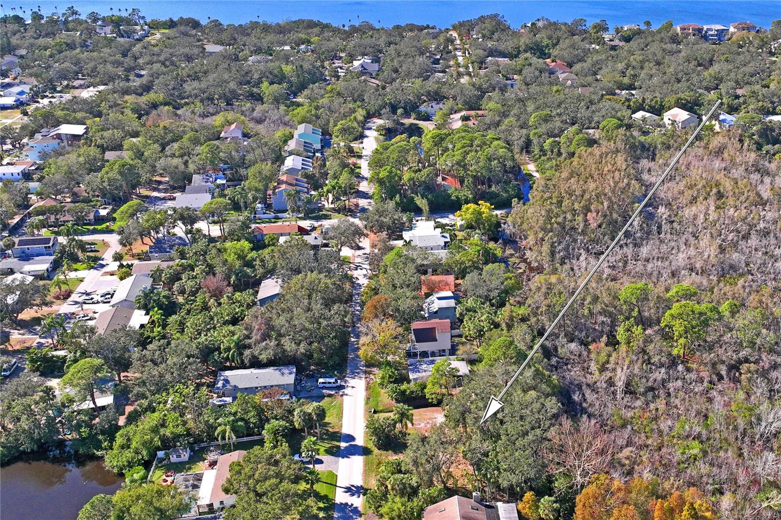 174 AVERY AVENUE 21 & 1