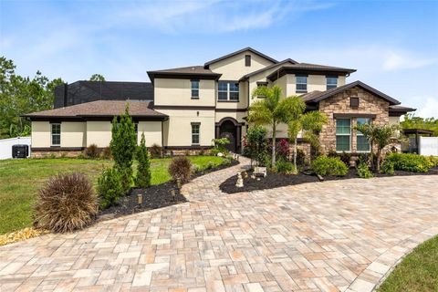 2245 BRONCO DR. ST CLOUD FL 34771