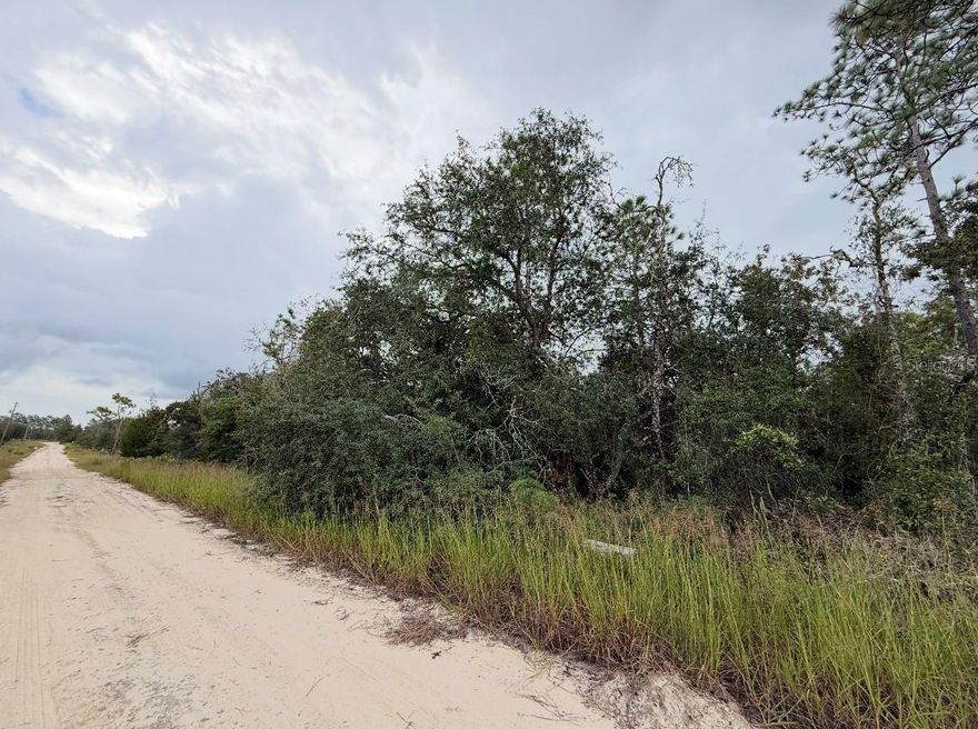 .24 acre lot located in Williston, FL. Perfect location for your new home and at an affordable price! Call today or take a stroll to check this one out!