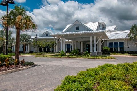 A home in LAND O LAKES