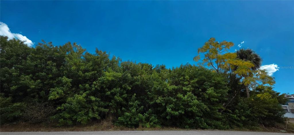 Photo of 3546 Coney Island Street, Port Charlotte, FL 33952 (MLS # C7521791)