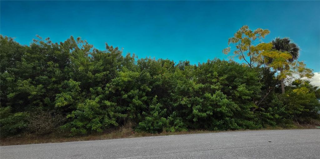 Photo of 3546 Coney Island Street, Port Charlotte, FL 33952 (MLS # C7521791)