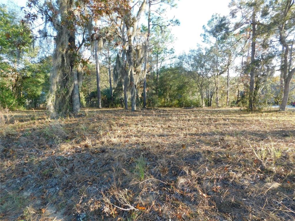 Photo of 4932 E Eliza Court, Inverness, FL 34452 (MLS # TB8467423)
