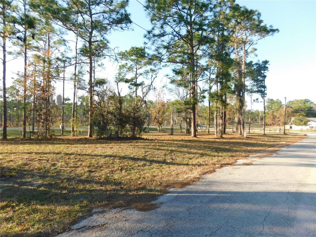 Photo of 4932 E Eliza Court, Inverness, FL 34452 (MLS # TB8467423)