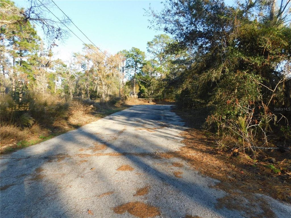 Photo of 4932 E Eliza Court, Inverness, FL 34452 (MLS # TB8467423)