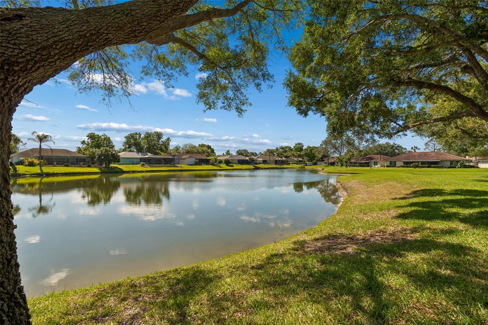 LAKE POINTE - Residential