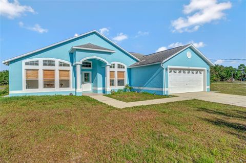 A home in DELTONA