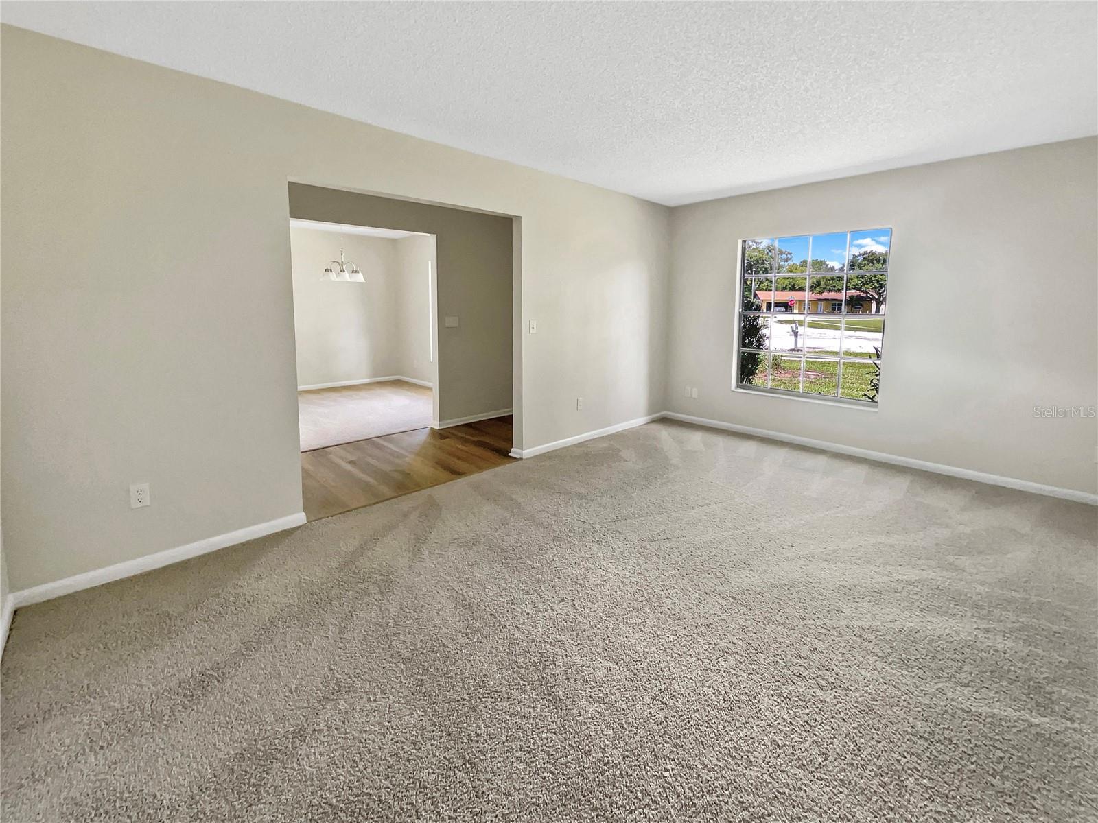 23910 LAKE BARK COURT