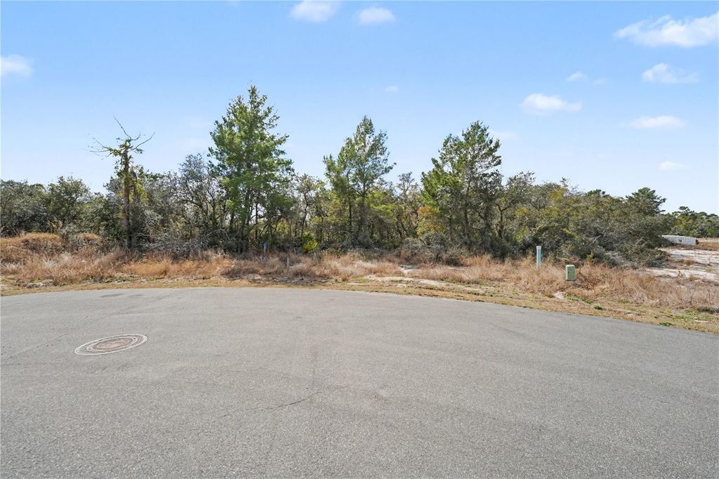 Photo of 1204 Waverly Place, Poinciana, FL 34759 (MLS # P4937731)