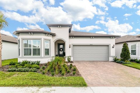 A home in LAND O LAKES