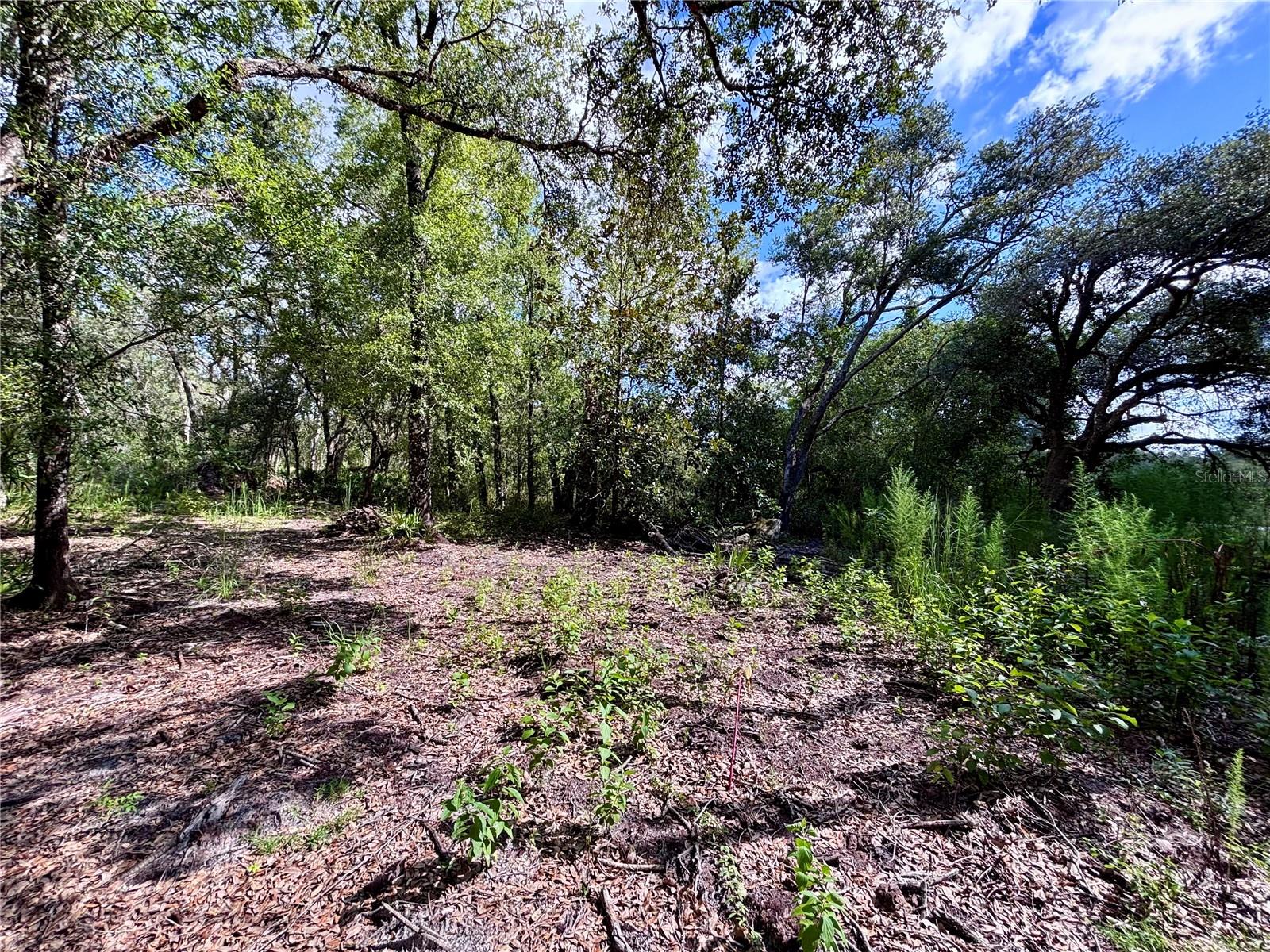 RIDGE MANOR ESTATE - Land