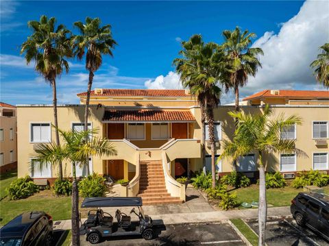 180 PALMAS DRIVE 60-D HUMACAO  00791