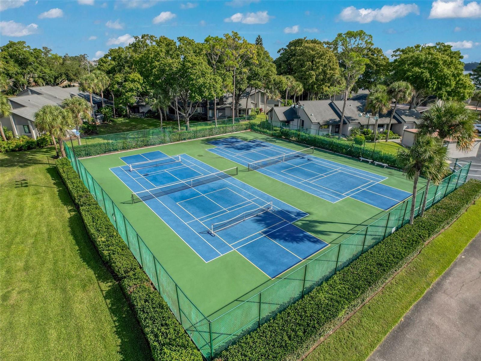 LAKE TARPON SAIL & TENNIS CLUB - Residential