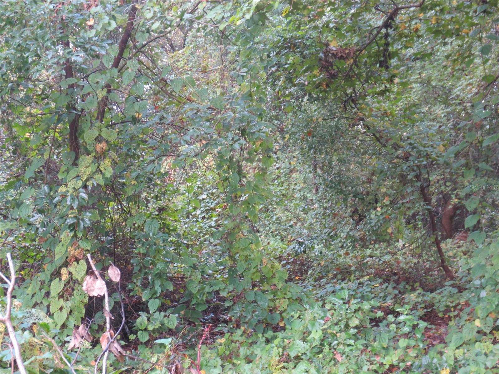 NATIONAL FOREST RECREATION - Land