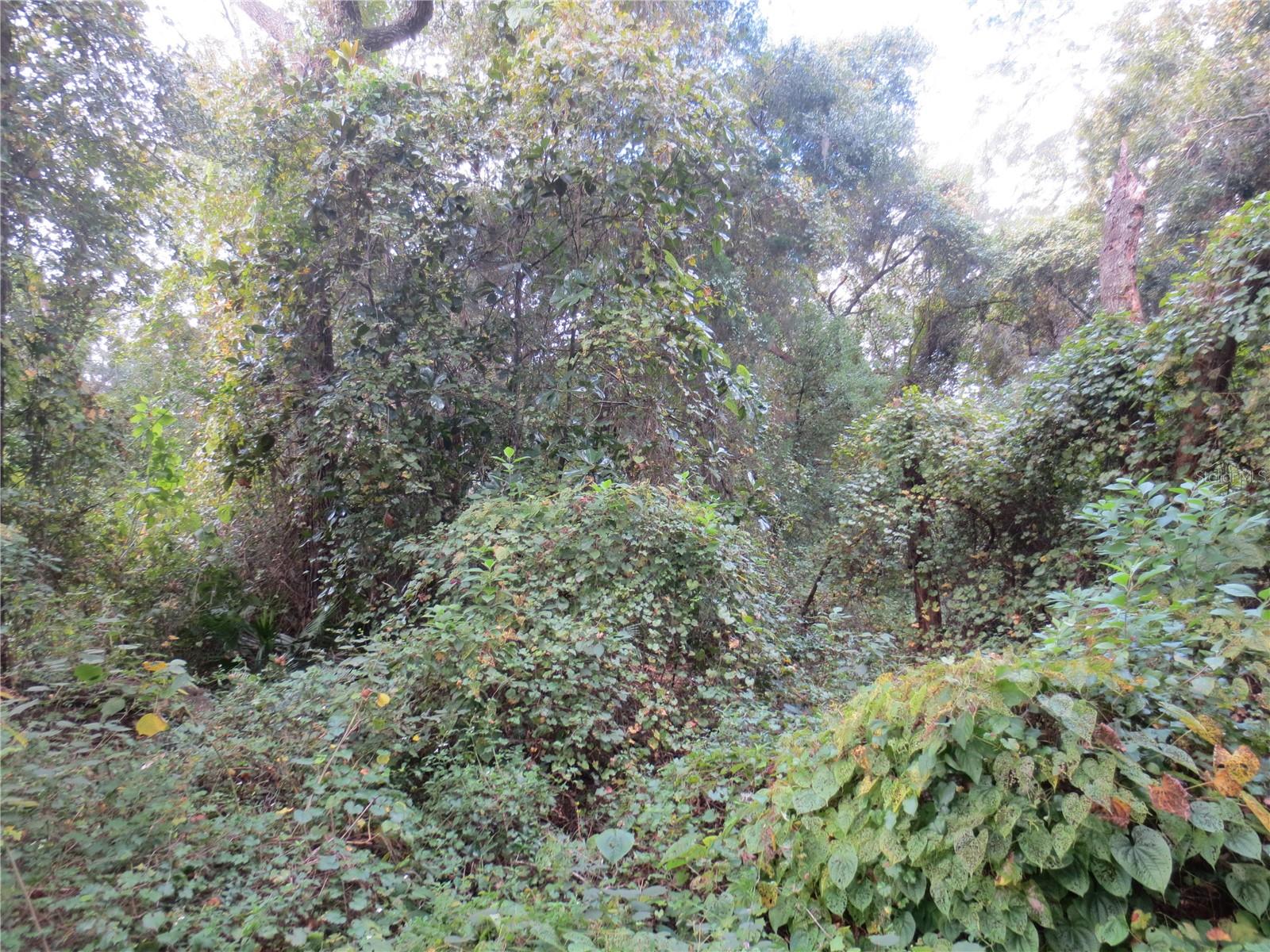 NATIONAL FOREST RECREATION - Land