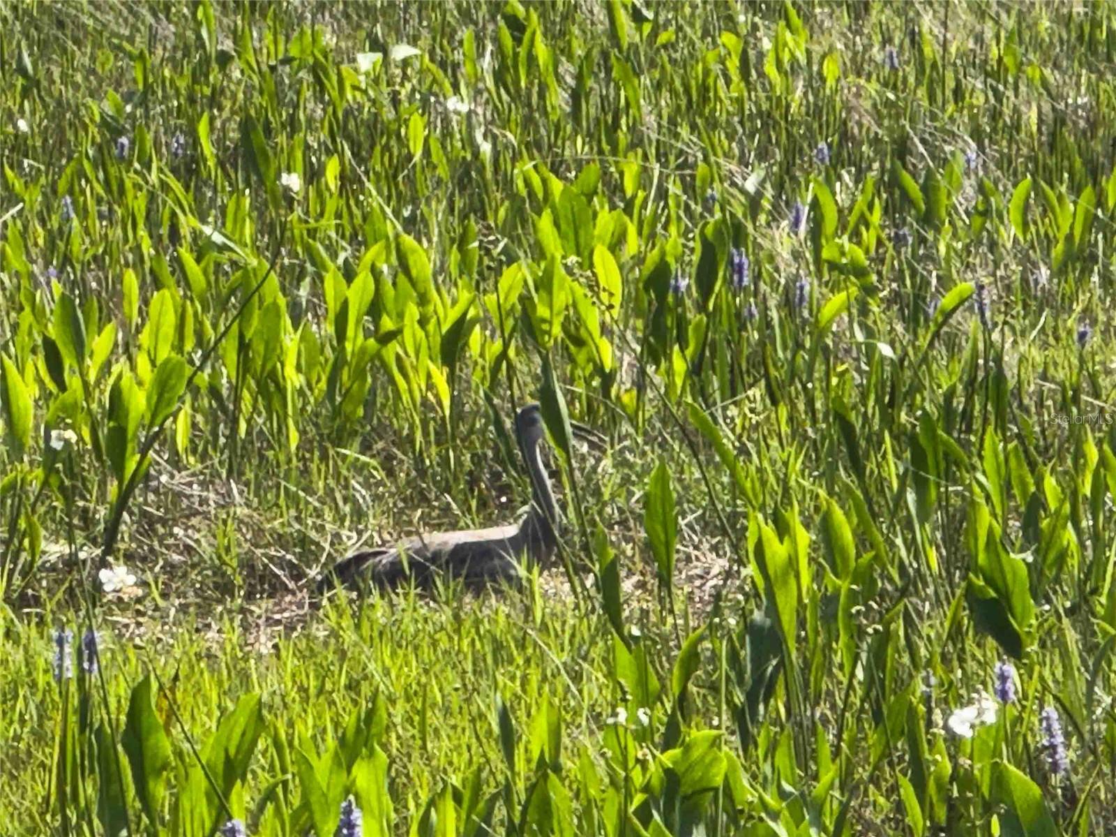 CONNERTON VILLAGE 2 PRCL 211 - Residential