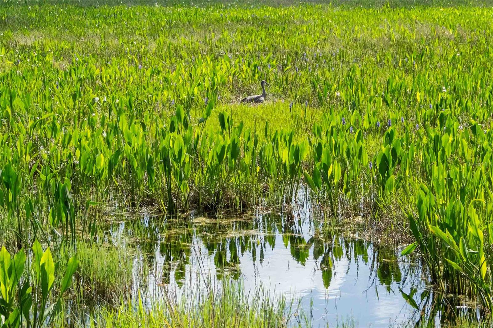 CONNERTON VILLAGE 2 PRCL 211 - Residential