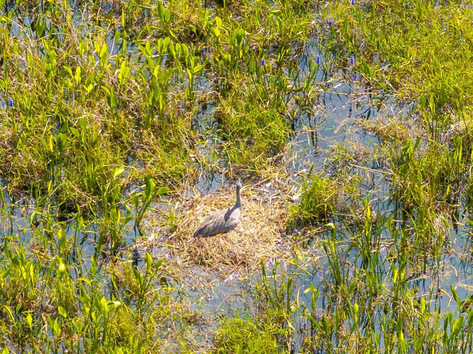 CONNERTON VILLAGE 2 PRCL 211 - Residential