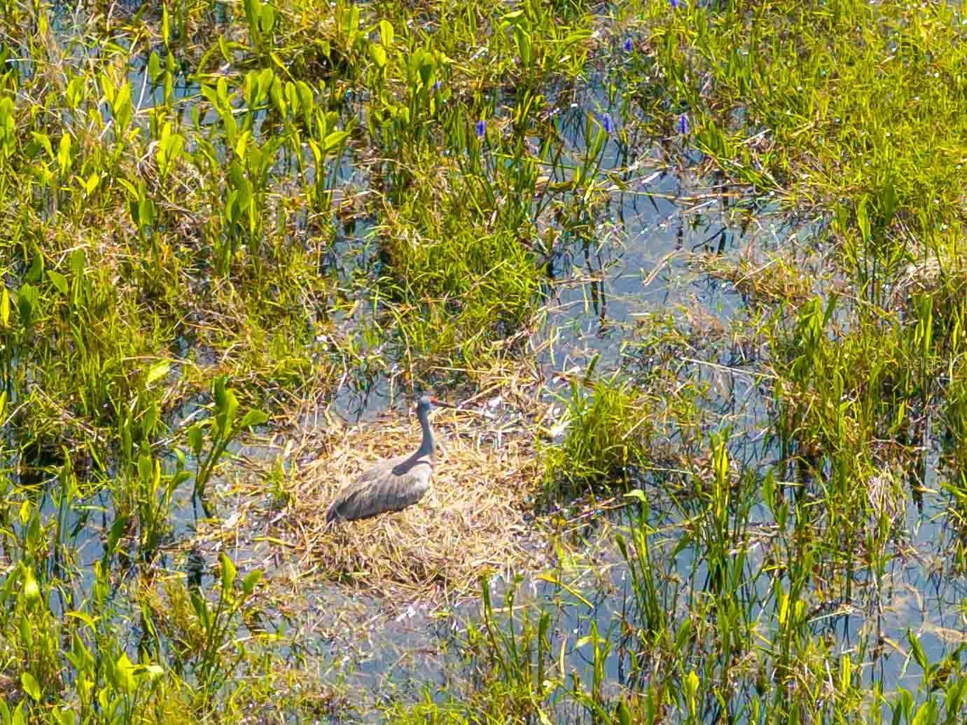 CONNERTON VILLAGE 2 PRCL 211 - Residential