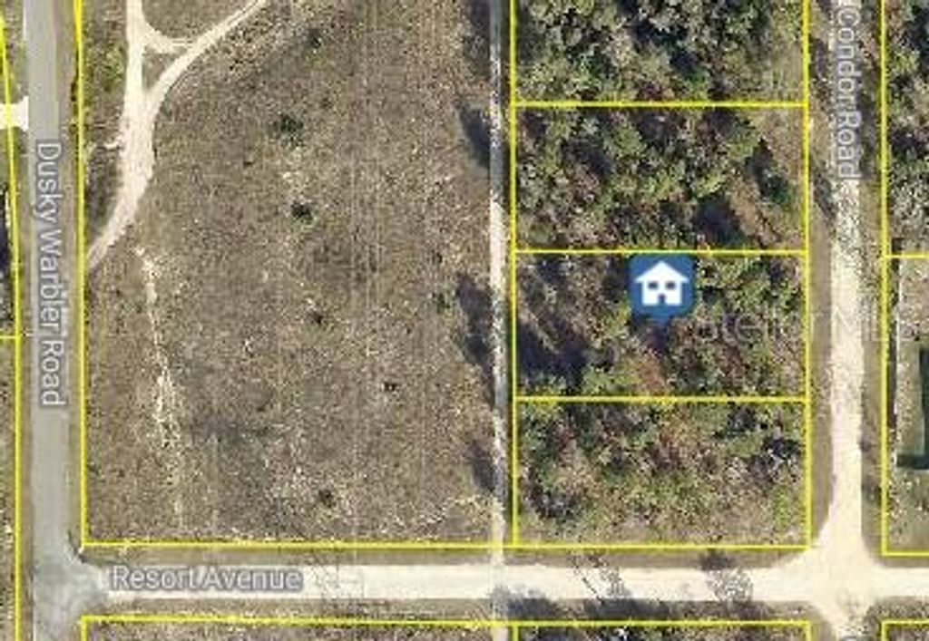 Photo of 14167 Condor Road, Brooksville, FL 34614 (MLS # W7879372)