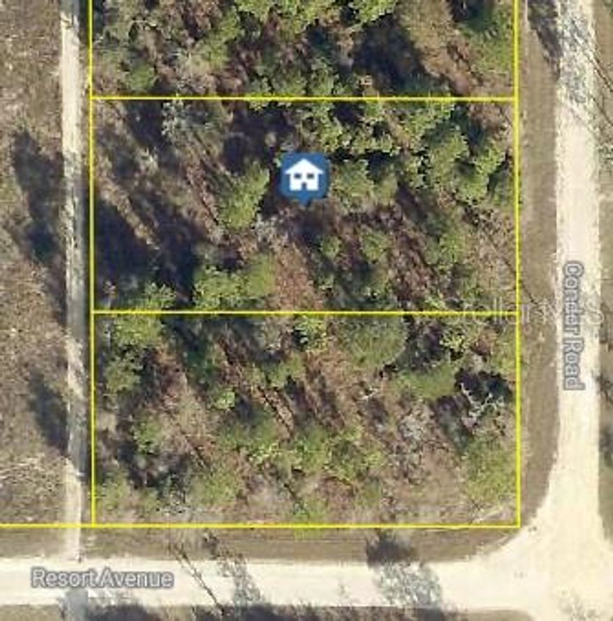 Nestled away in a highly desirable area of the Royal Highlands, this beautiful home site is waiting for you. The location is fantastic, ready to build your dream home on - or hold on to as an investment. Not in a deed restricted community, NO HOA or CDD fees either and there is no time limit on when you can build. Close to all area amenities such as shopping, schools, dining, entertainment, medical, saltwater fishing in the Gulf and natural freshwater rivers and springs - for those who love the outdoors. Come see this beautiful home site today before it's
gone. If you have any questions, just ask.