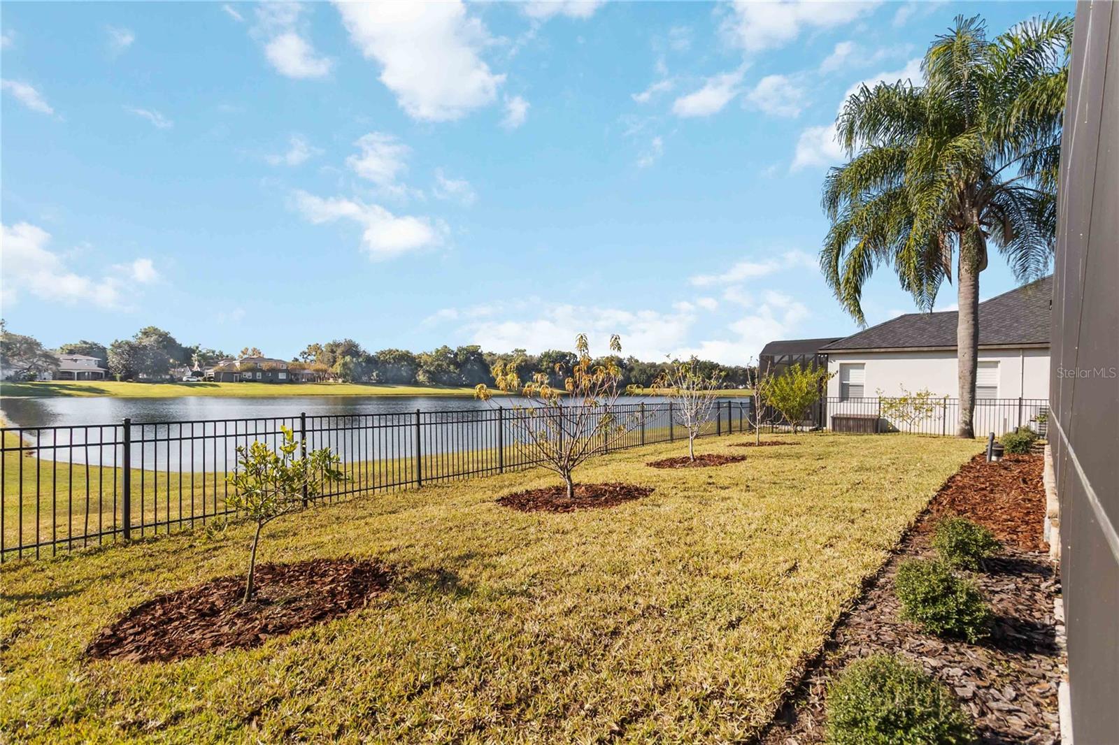 BUCKINGHAM ESTATES - Residential