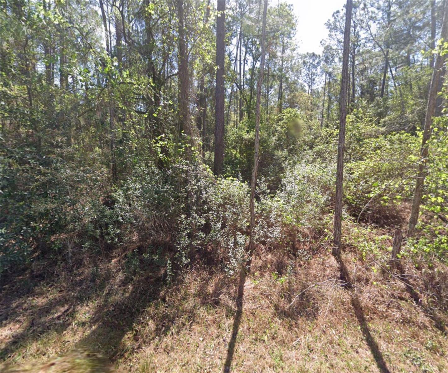 Dreaming of retirement by the water? Or Becoming part of the Booming Florida Land Market? Dive into this incredible opportunity! Selling a prime 0.23-acre vacant land in Georgetown, Florida. Located in Georgetown Cove, this lot comes with access to a 10-acre community area featuring a boat ramp, dock, pavilion, fish cleaning station, and more! Enjoy the serene beauty of Lake George, known as the bass and crappie capital of the world! Make an Offer so you Don't miss out on this slice of paradise! **Owner Financing is Available**Own this Lot with as Little as $3,000 Down!!** Buyer responsible to confirm all data and conduct their own due diligence.