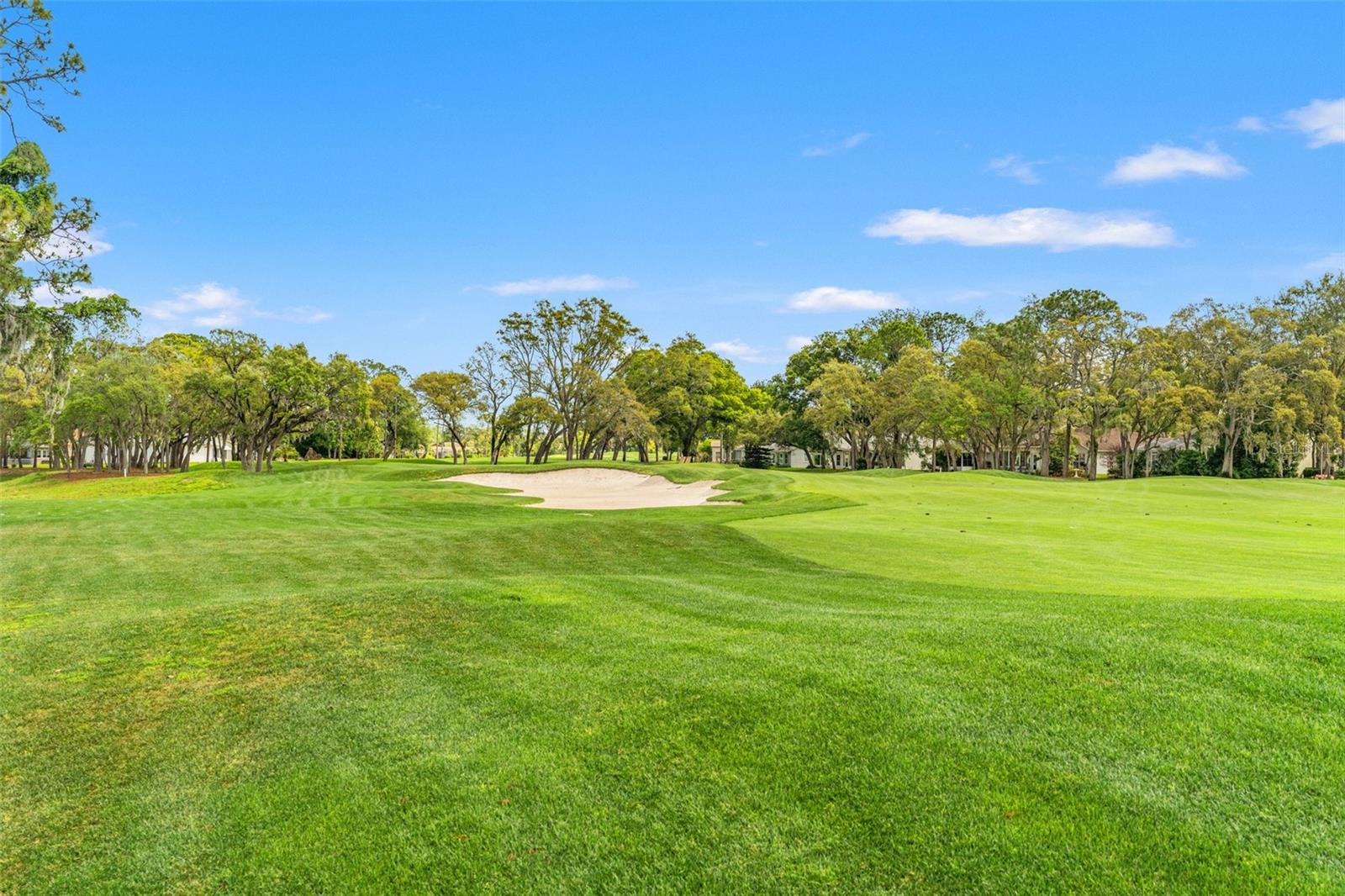 TIMBER PINES - Residential