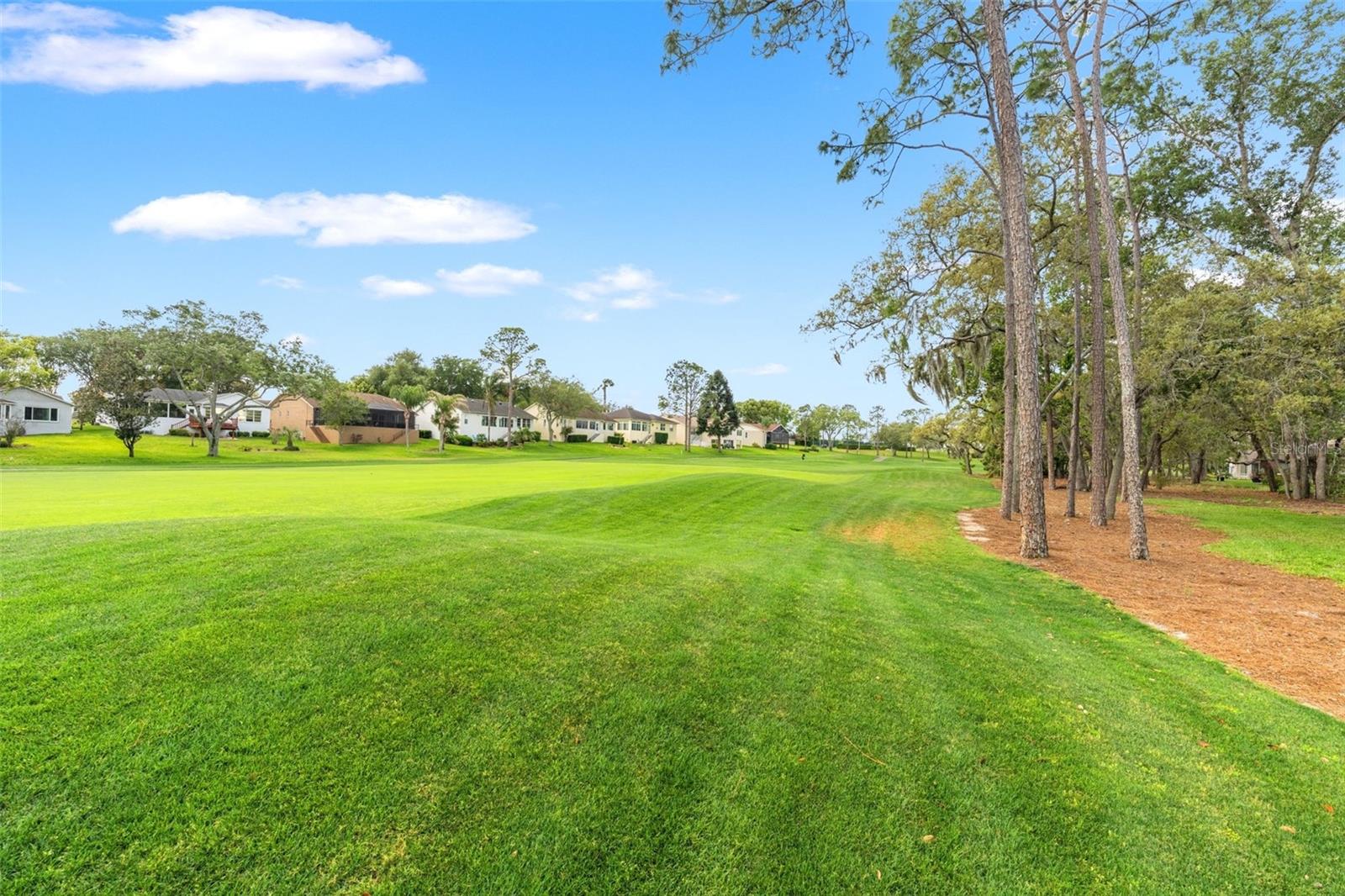 TIMBER PINES - Residential