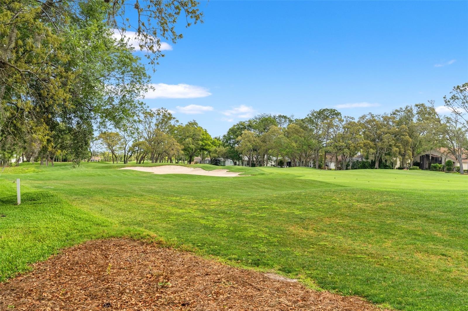 TIMBER PINES - Residential