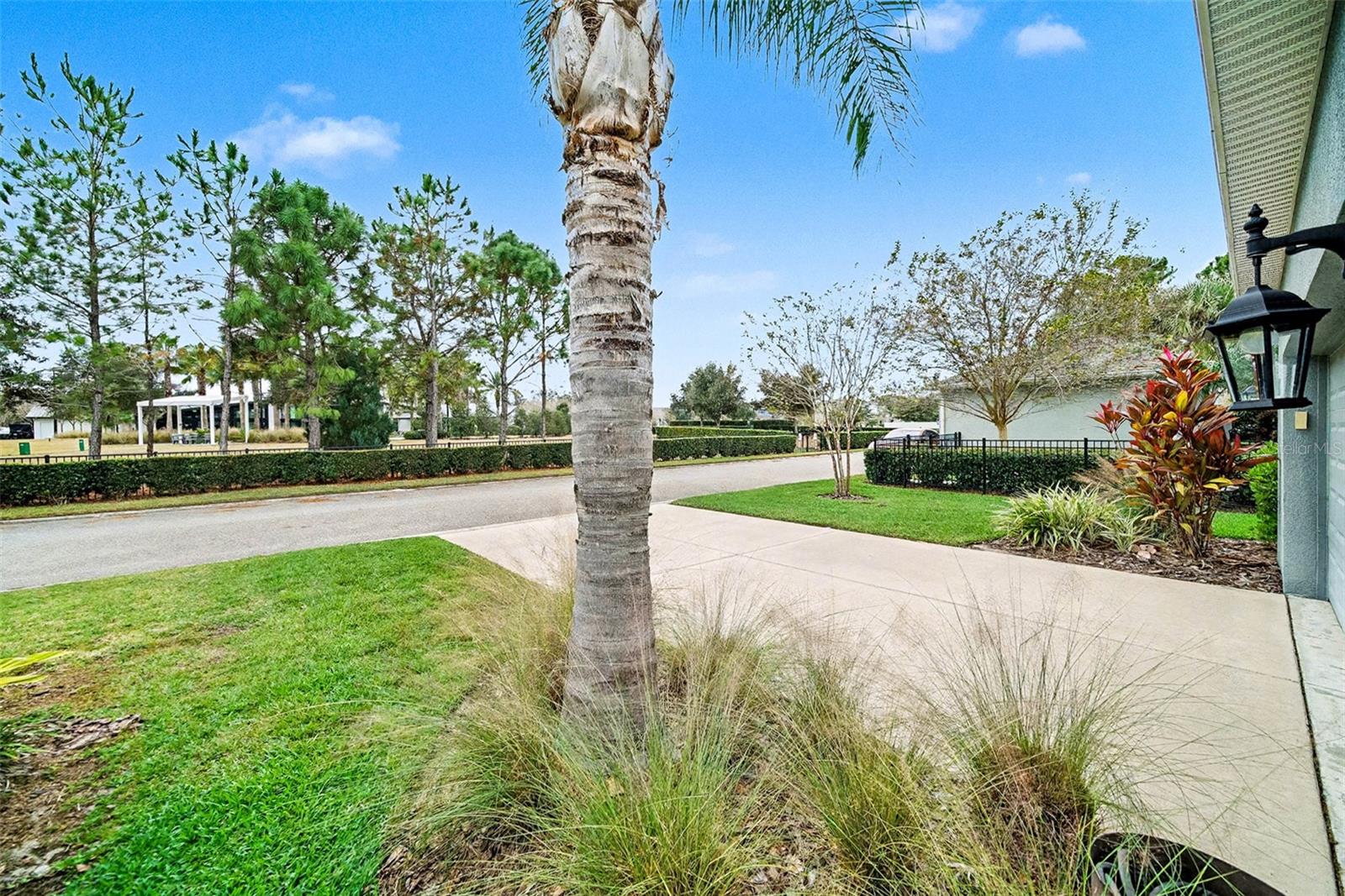 ASTURIA PH 1A - Residential