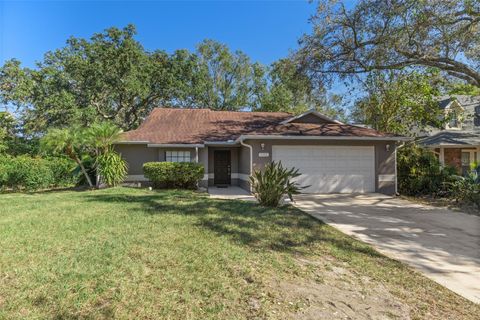 A home in TAMPA