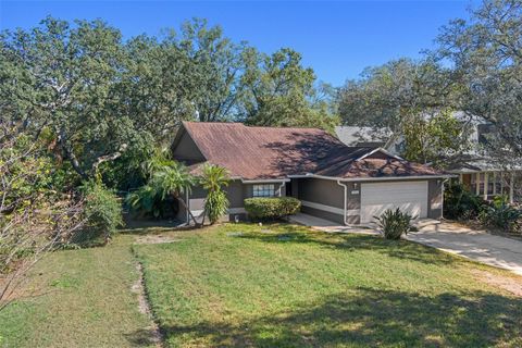 A home in TAMPA