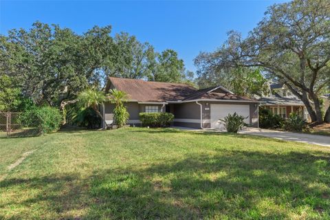 A home in TAMPA