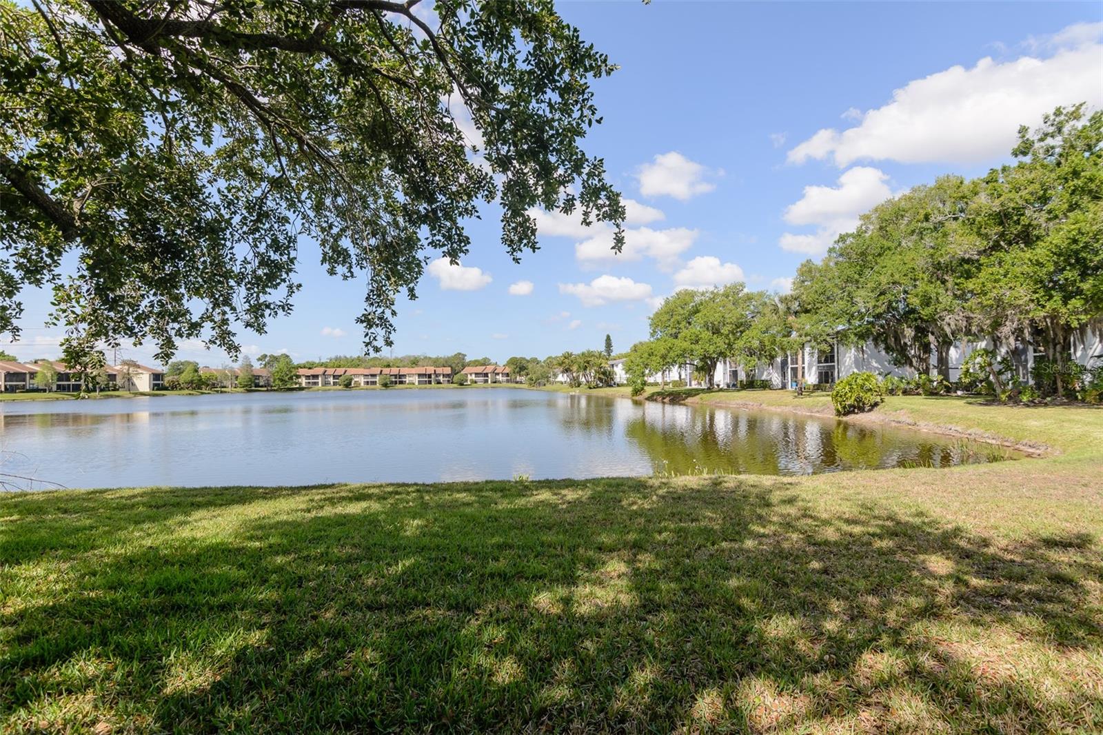 EAST LAKE WOODLANDS CYPRESS ESTATES - Residential