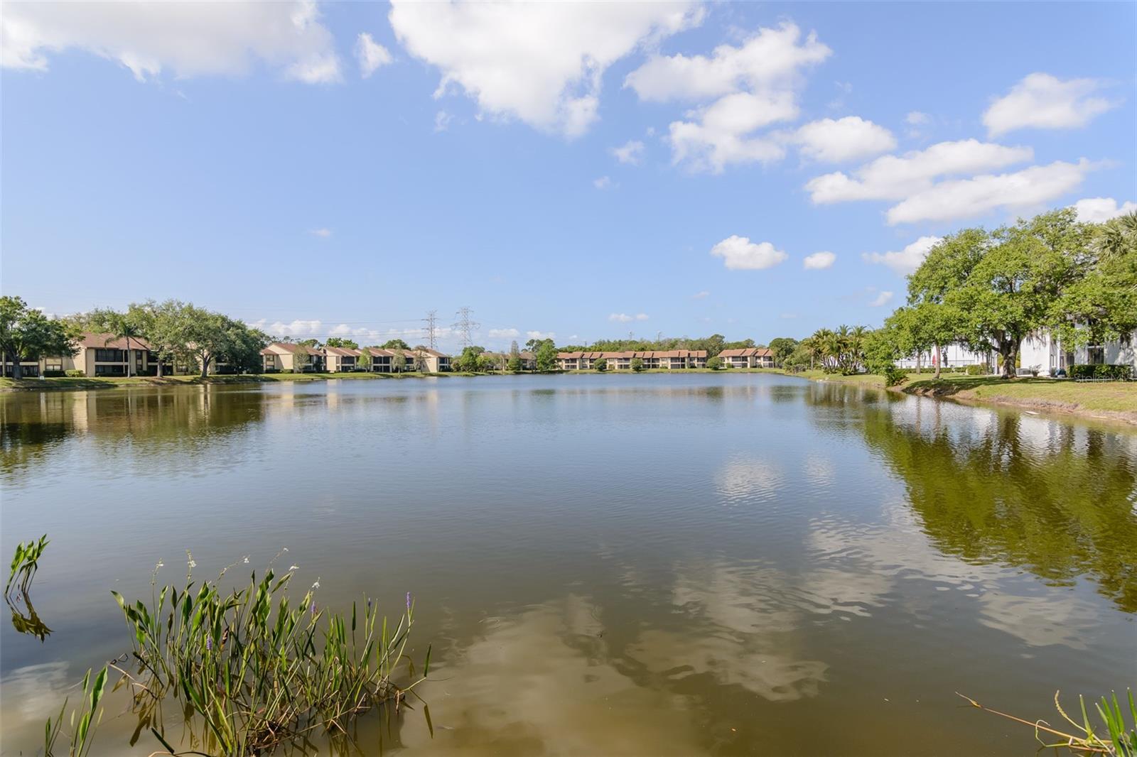 EAST LAKE WOODLANDS CYPRESS ESTATES - Residential