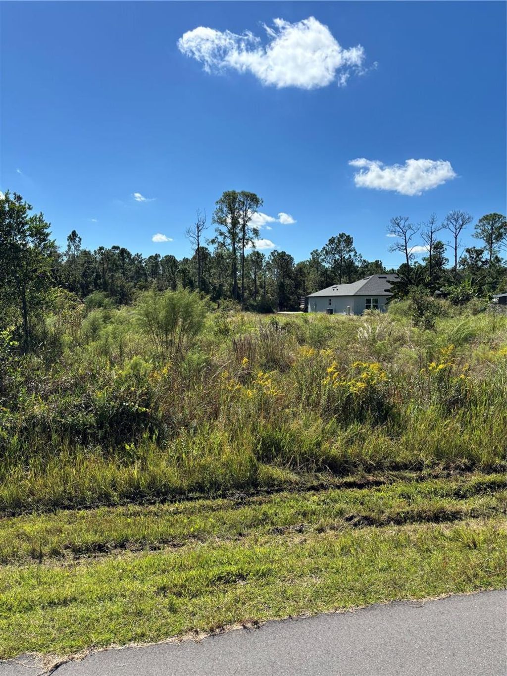 Photo of 8011 Ancha Street, Sebring, FL 33872 (MLS # O6360495)