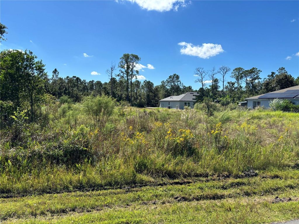 Photo of 8011 Ancha Street, Sebring, FL 33872 (MLS # O6360495)