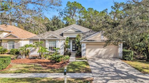 A home in TAMPA