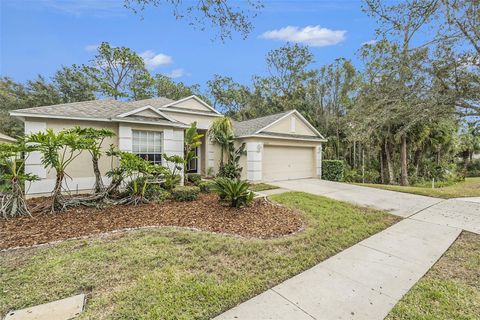 A home in TAMPA