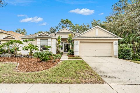 A home in TAMPA